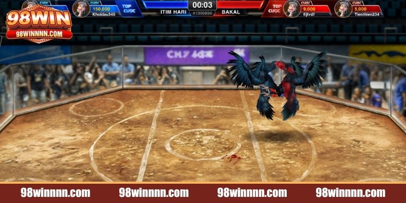 da-ga-98win-loai-hinh